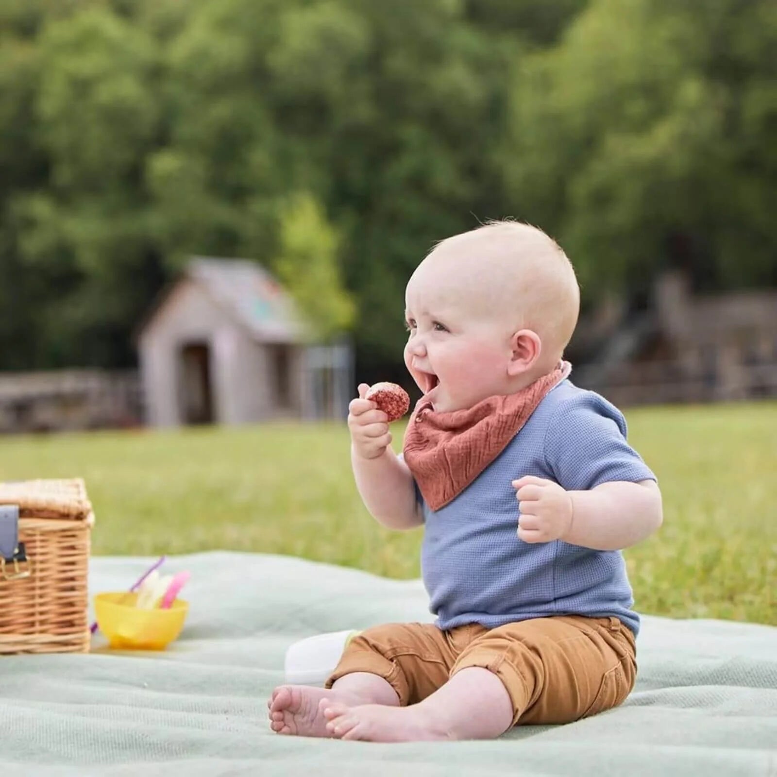 Organix Summer Fruits Rice Cake Clouds 7+ months 40g - ebebek - Black Friday