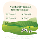 HiPP Organic 2 Follow on Baby Milk Formula from 6+ months 800g - ebebek - Christmas