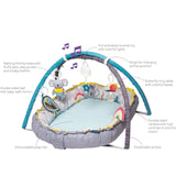 Taf Toys Koala Musical Cosy Gym - ebebek - Black Friday