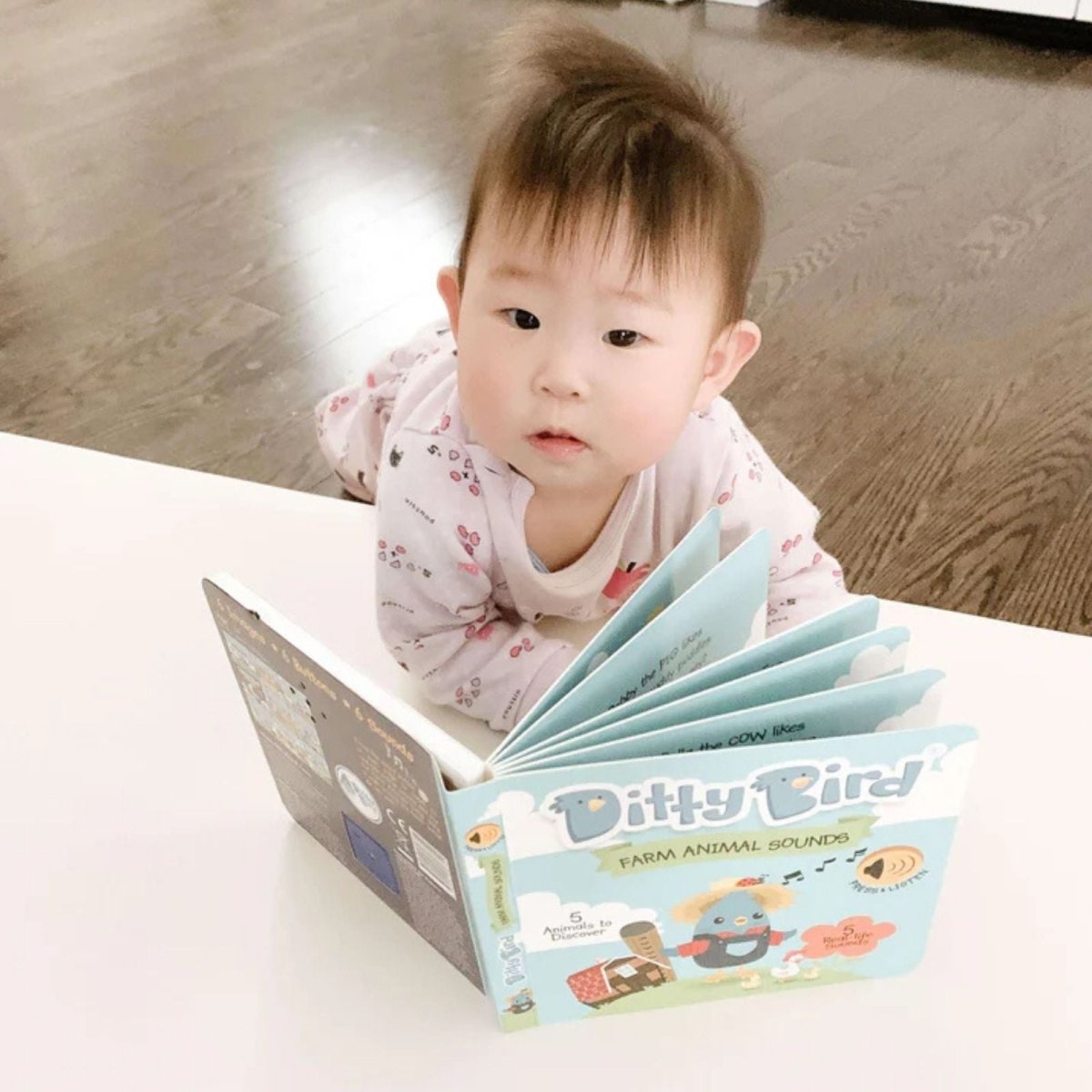 Ditty Bird Farm Animal Sounds Book - ebebek - Black Friday