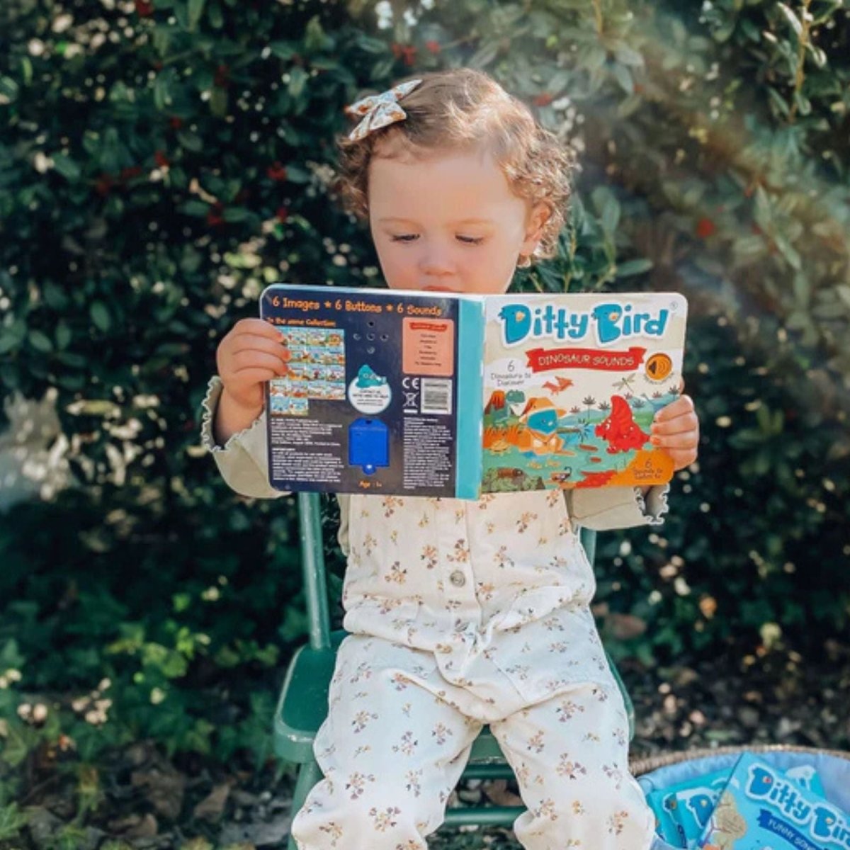 Ditty Bird Dinosaur Sounds Book - ebebek - Black Friday