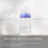 Lansinoh Glass Bottle 240ml - ebebek