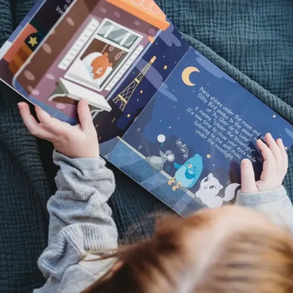 Ditty Bird Bedtime Songs Book - ebebek - Black Friday