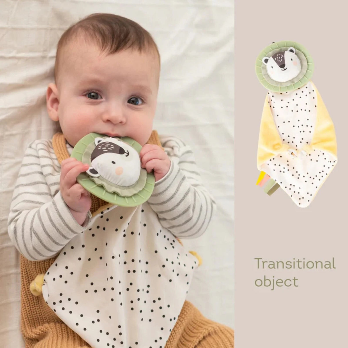 Taf Toys Newborn Play & Develop Kit - Taf Toys - ebebek