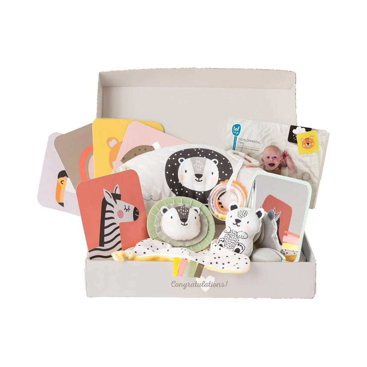 Taf Toys Newborn Play & Develop Kit - ebebek - Black Friday