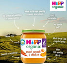 HiPP Organic Sweet Squash & Chicken Baby Food Jar 6+ months 125g - ebebek - Black Friday