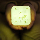 Cloud.b Cube B - Forest - ebebek - Black Friday