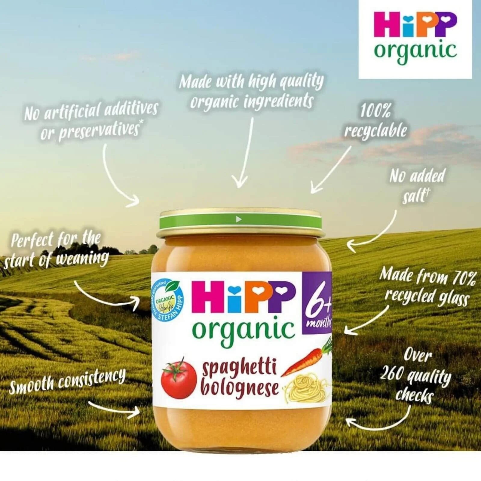 HiPP Organic Spaghetti Bolognese Baby Food Jar 6+ months 125g - ebebek - Black Friday