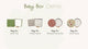 Petit Artichaut Baby Hand & Foot Imprints Square Box - Olive Tree