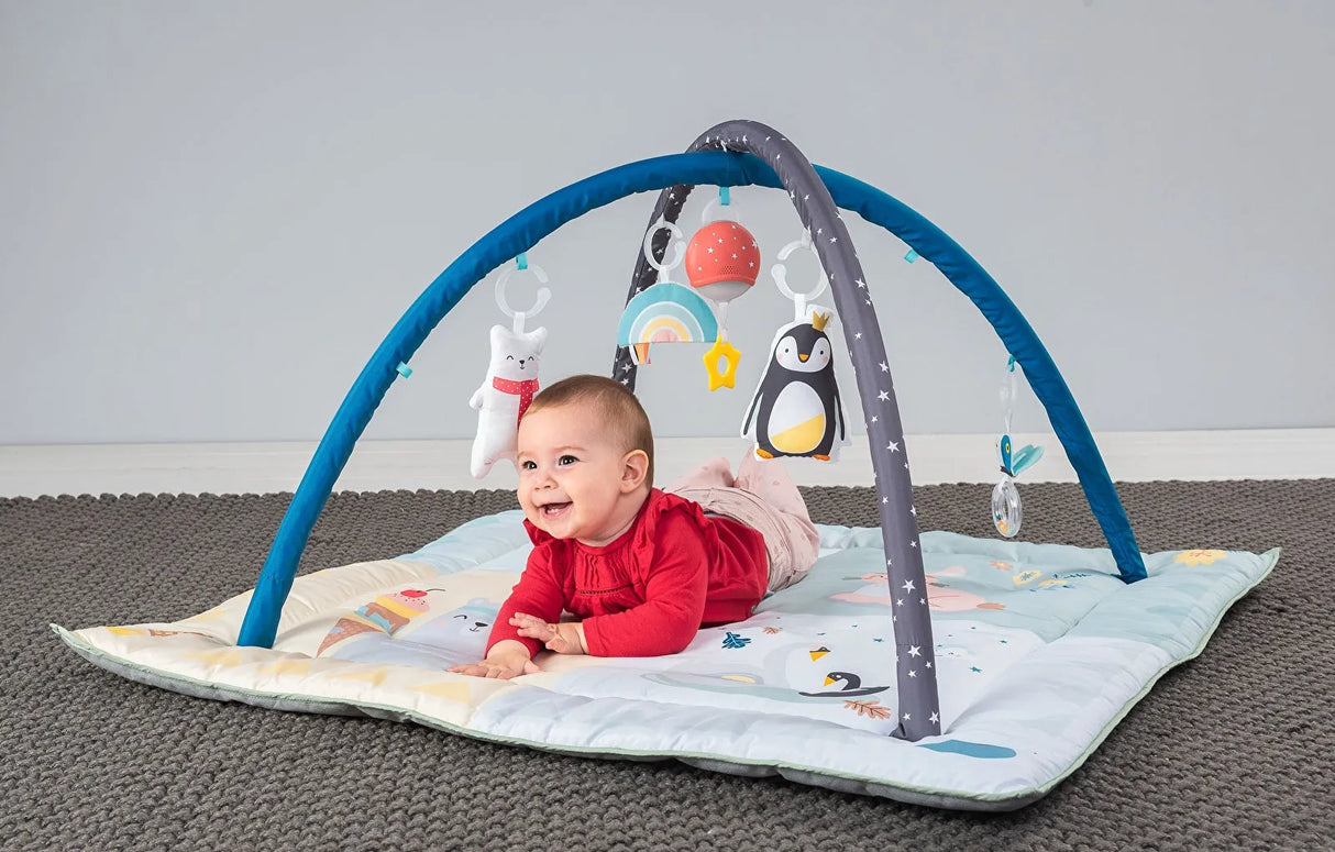 Taf Toys North Pole 4 Seasons Gym - ebebek - Black Friday