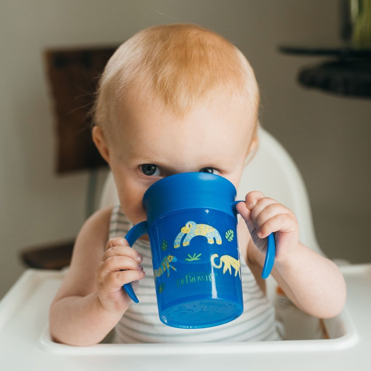 Dr. Brown's 360 Spoutless Transition Cup 300ml - Blue - ebebek - Black Friday