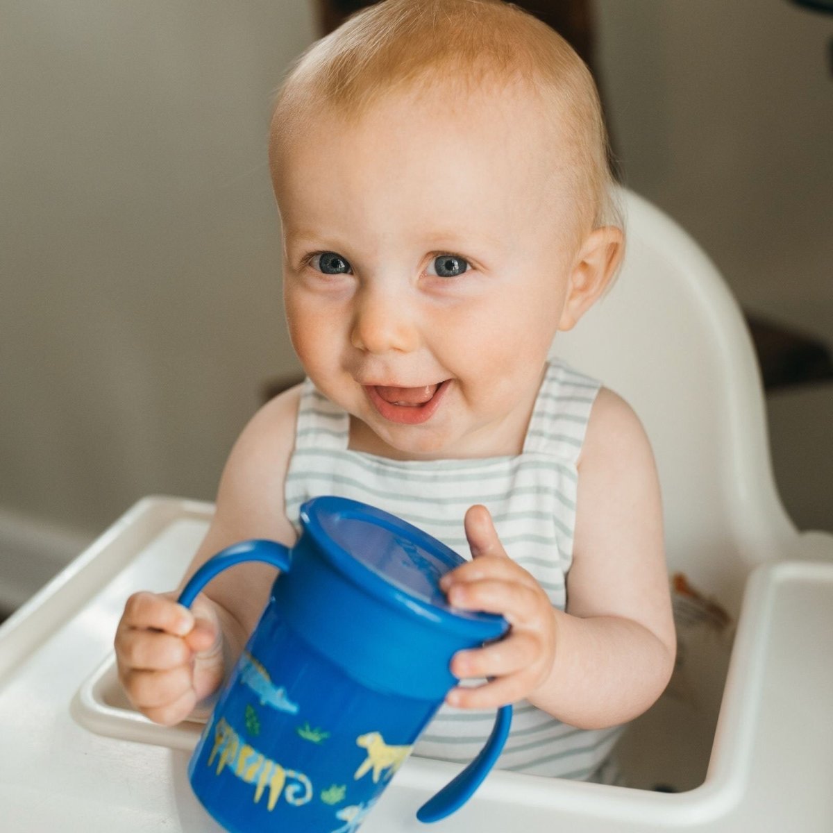 Dr. Brown's 360 Spoutless Transition Cup 300ml - Blue - ebebek - Black Friday