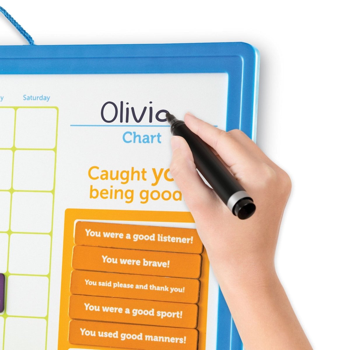 Learning Resources Good Job Reward Chart - ebebek - Black Friday