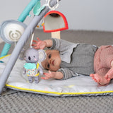 Taf Toys All Around Me Gym - ebebek - Black Friday