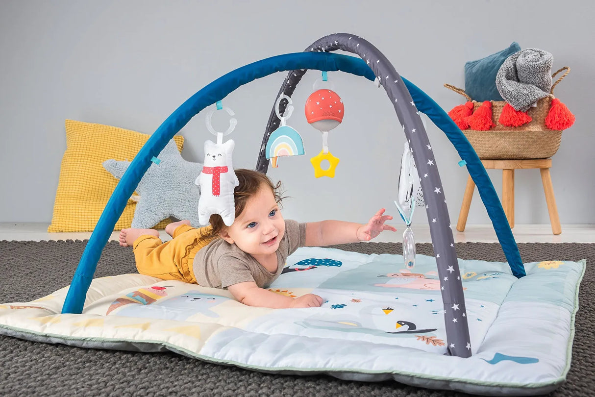 Taf Toys North Pole 4 Seasons Gym - ebebek - Black Friday